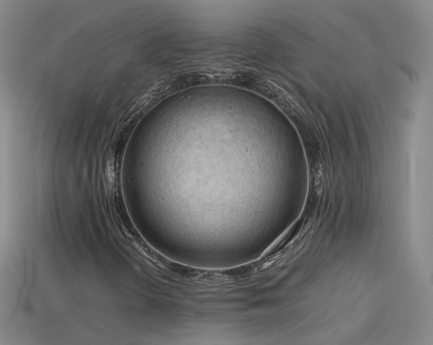 X0000115801298200911131351