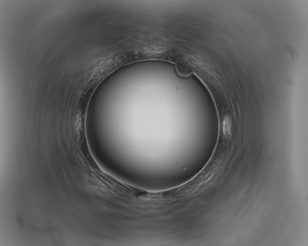 X0000115801299200911131351