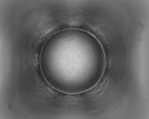 X0000115801301200911131351