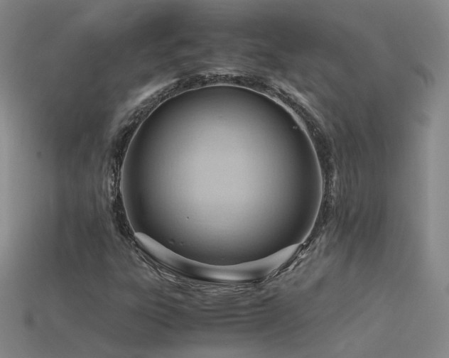 X0000115801303200911131351