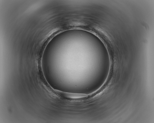 X0000115801305200911131351