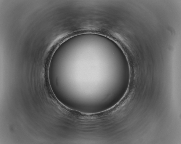 X0000115801307200911131351