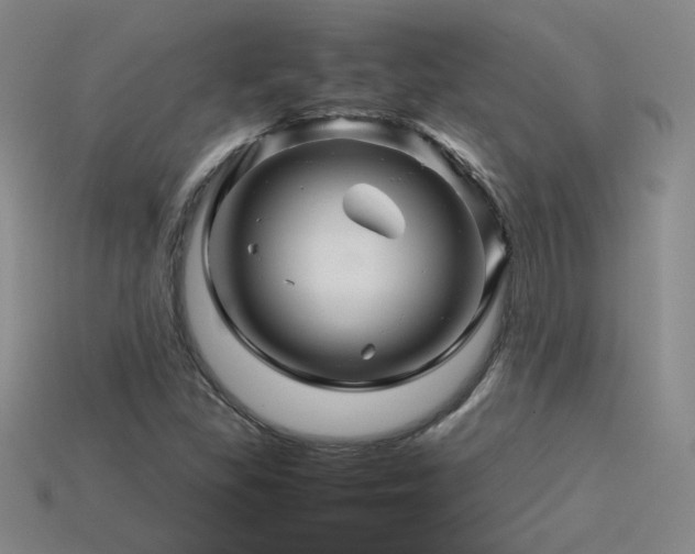 X0000115801309200911131351