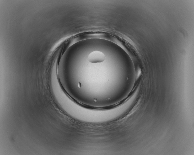 X0000115801310200911131351