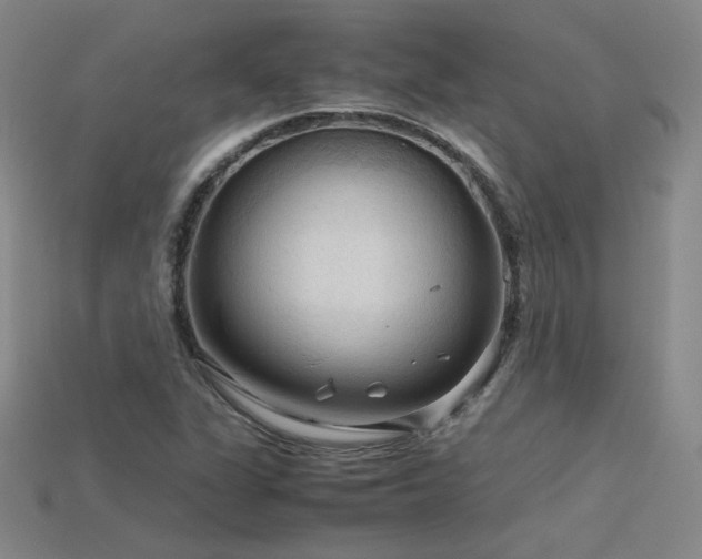 X0000115801311200911131351
