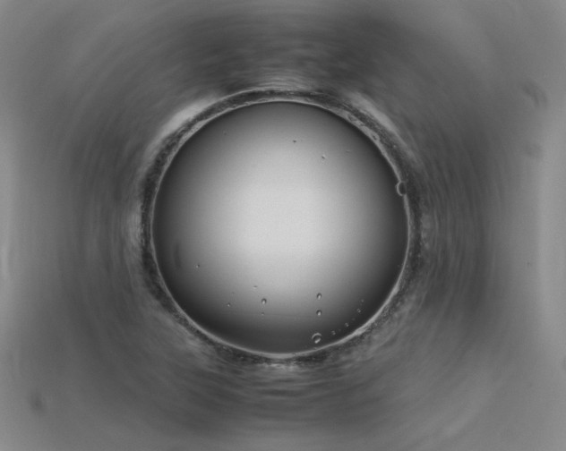 X0000115801315200911131351