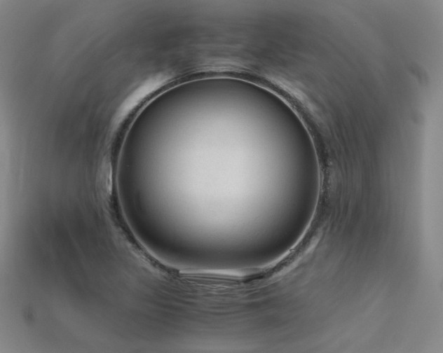 X0000115801317200911131351