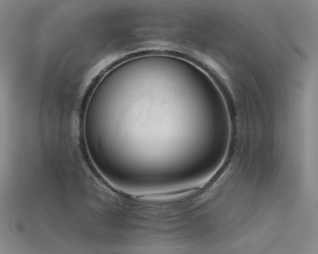 X0000115801318200911131351