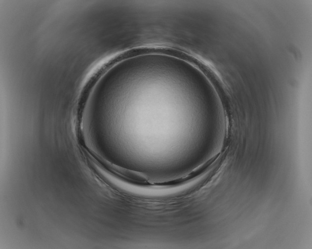 X0000115801319200911131351