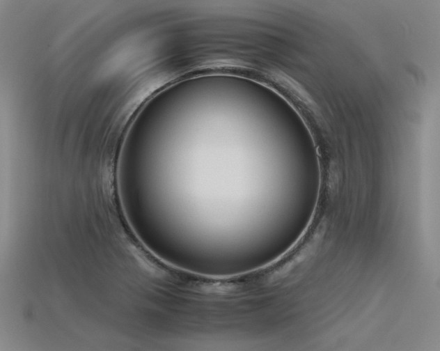X0000115801321200911131351