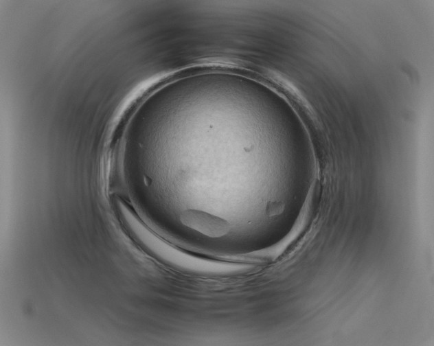 X0000115801323200911131351