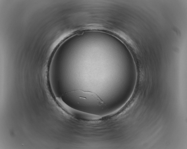 X0000115801325200911131351