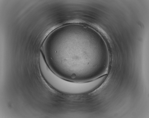 X0000115801329200911131351