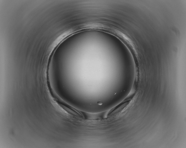 X0000115801330200911131351