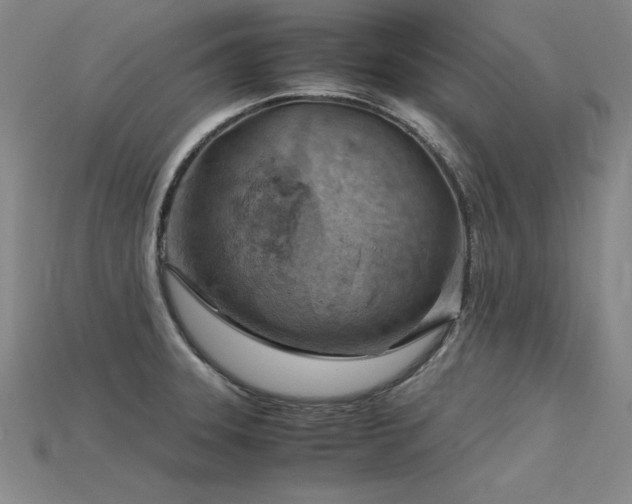 X0000115801331200911131351
