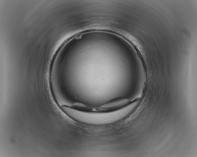 X0000115801334200911131351
