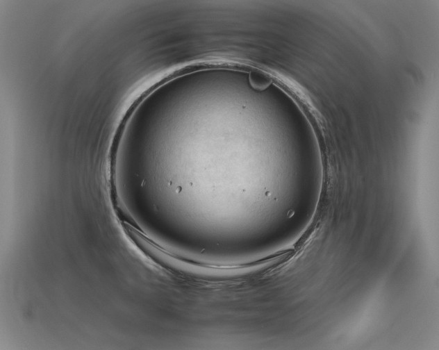 X0000115801335200911131351