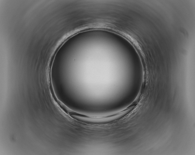 X0000115801342200911131351