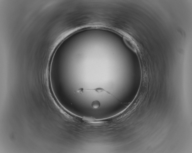X0000115801343200911131351