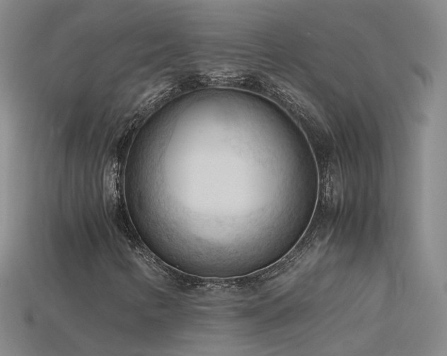 X0000115801346200911131351