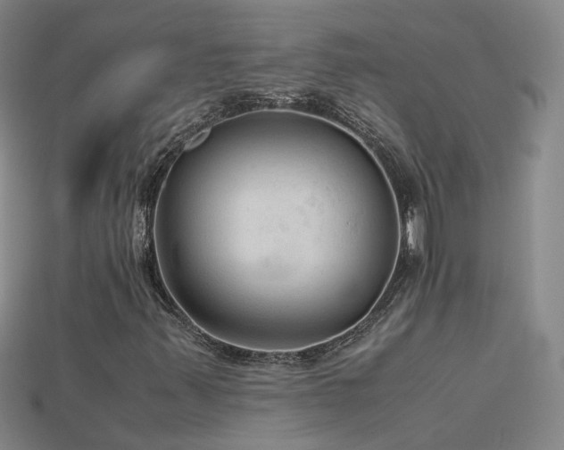 X0000115801347200911131351