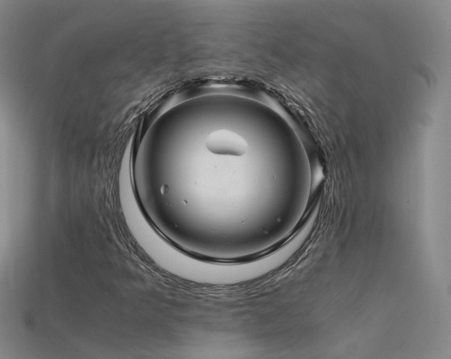 X0000115801349200911131351