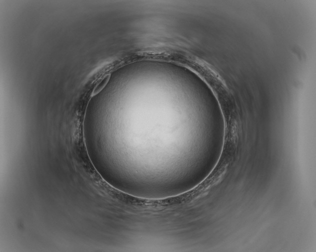 X0000115801350200911131351
