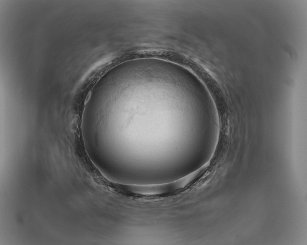 X0000115801351200911131351