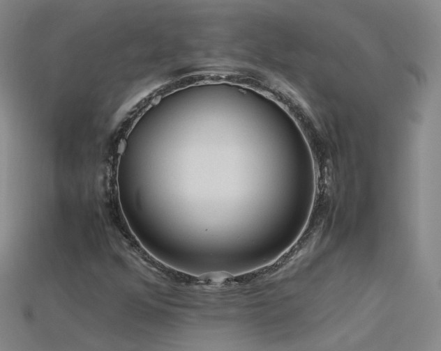 X0000115801352200911131351