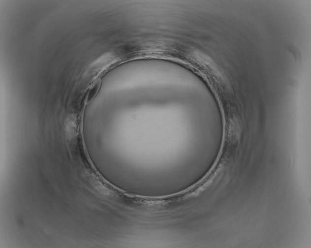 X0000115801353200911131350