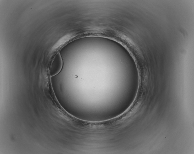 X0000115801354200911131350