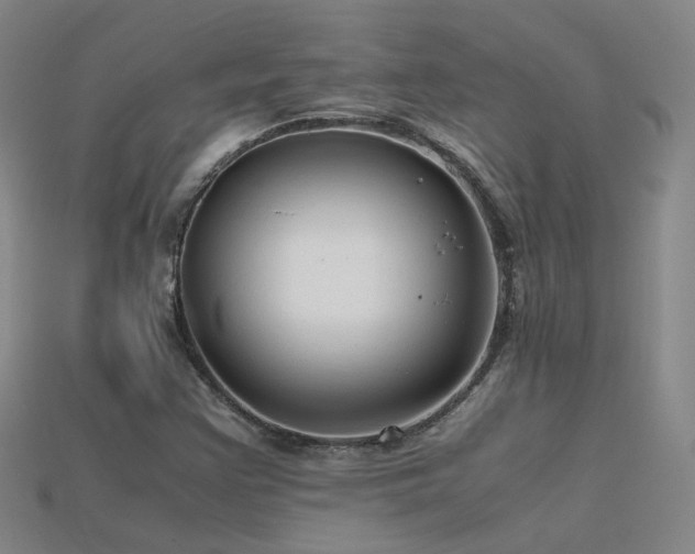X0000115801355200911131350