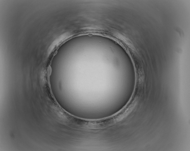 X0000115801357200911131350