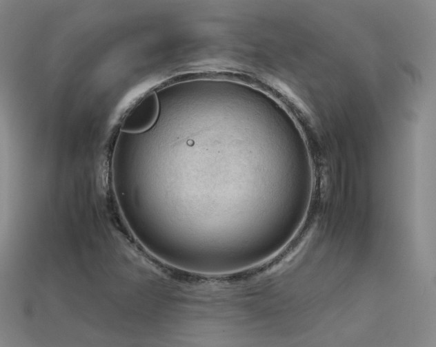 X0000115801358200911131350