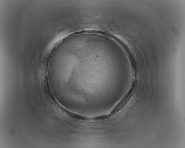 X0000115801359200911131350