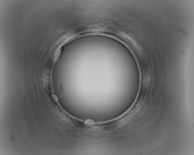 X0000115801361200911131350
