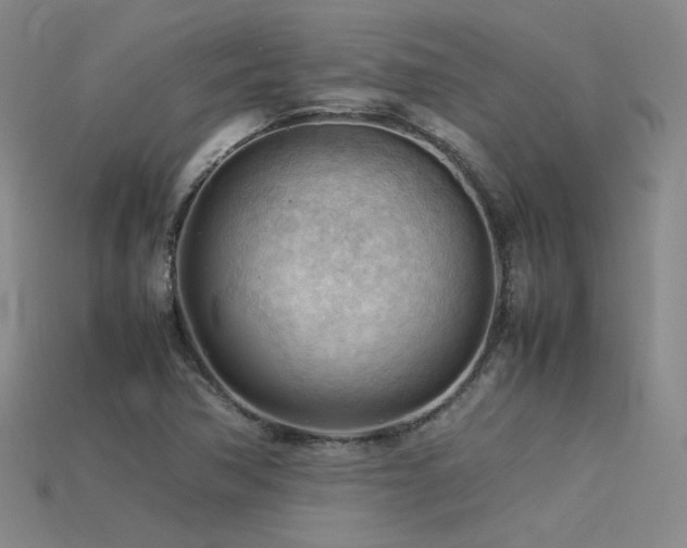 X0000115801362200911131350