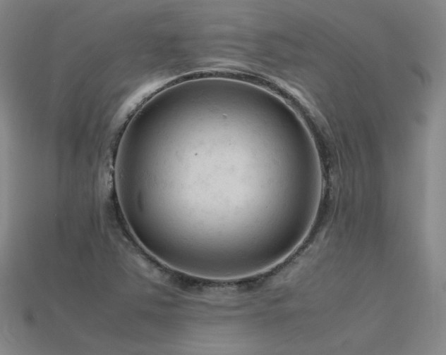 X0000115801363200911131350