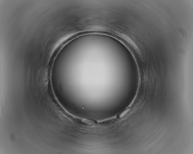 X0000115801364200911131350