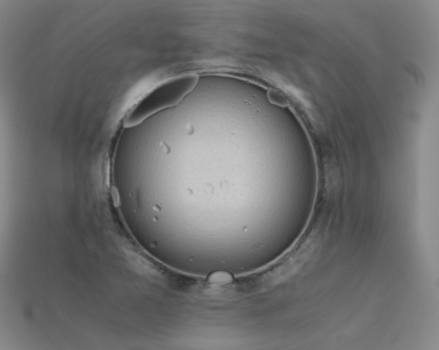 X0000115801365200911131350