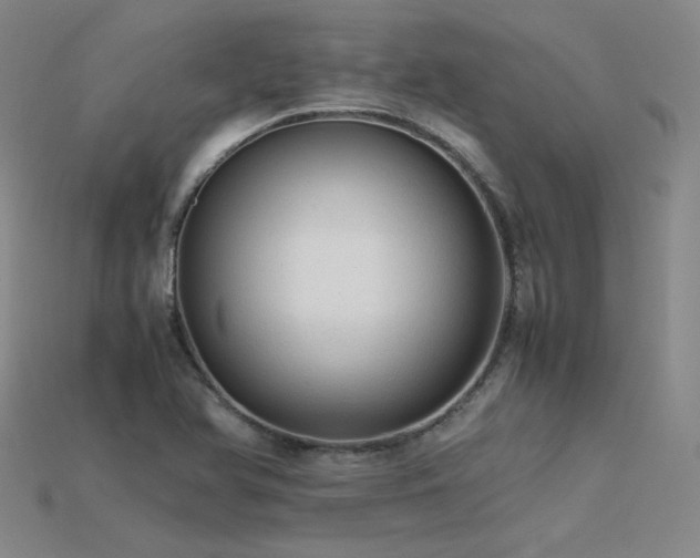 X0000115801366200911131350