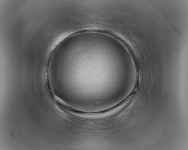 X0000115801367200911131350