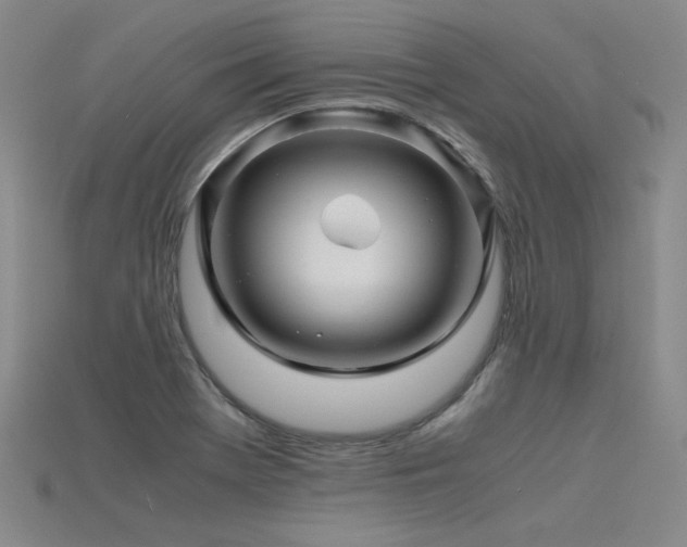 X0000115801369200911131350