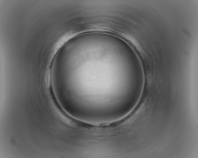 X0000115801371200911131350