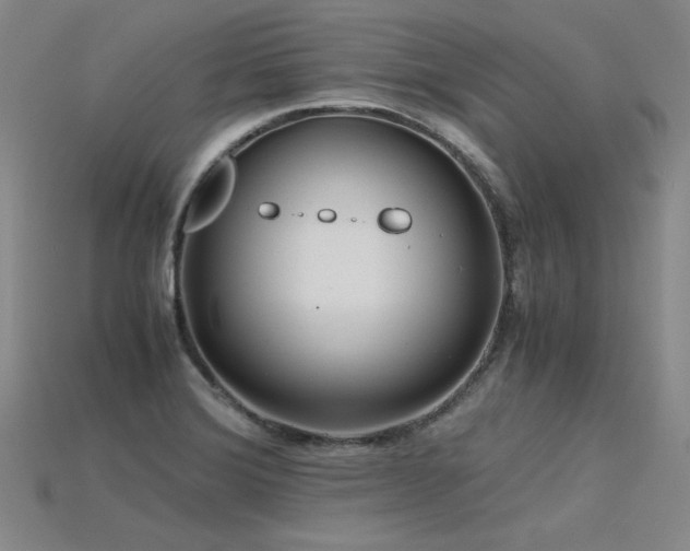 X0000115801372200911131350