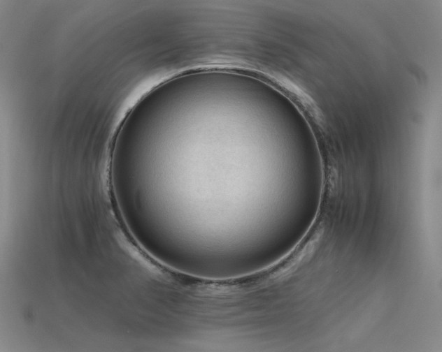 X0000115801374200911131350