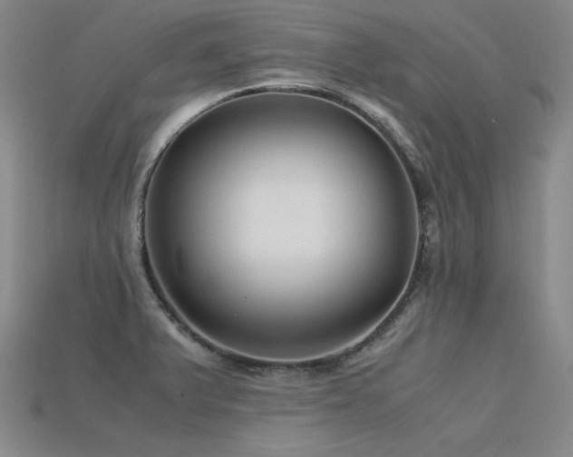 X0000115801375200911131350