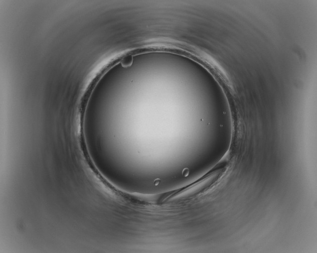 X0000115801376200911131350