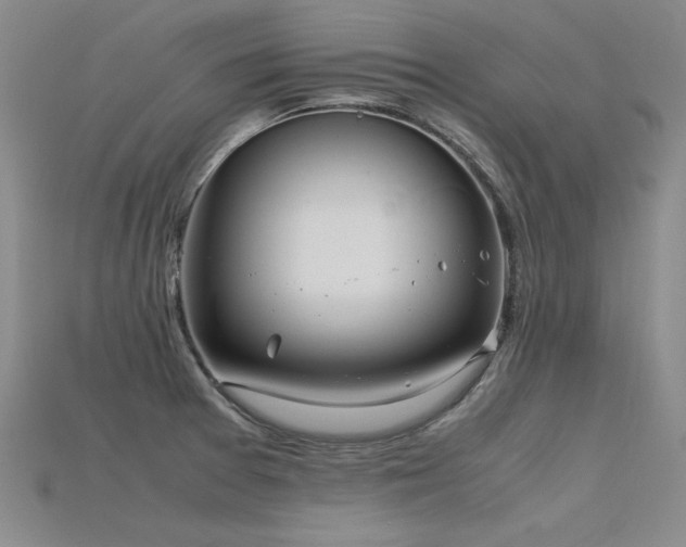 X0000115801377200911131350