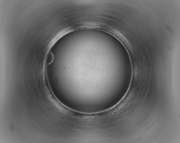 X0000115801378200911131350